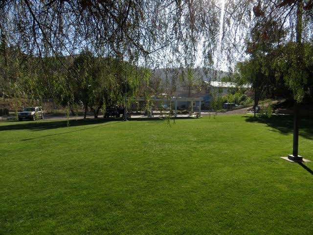 Spacious grass field at the All Dogs Train property in Wildomar